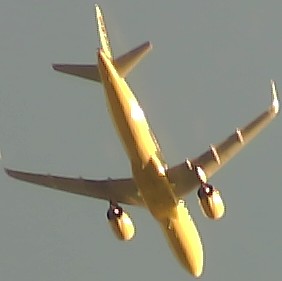 Airplane Picture