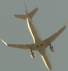 Airplane Picture