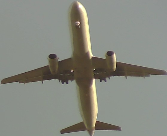 Airplane Picture