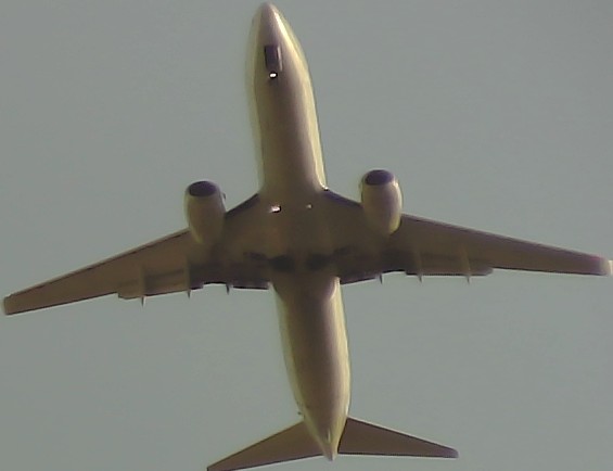 Airplane Picture