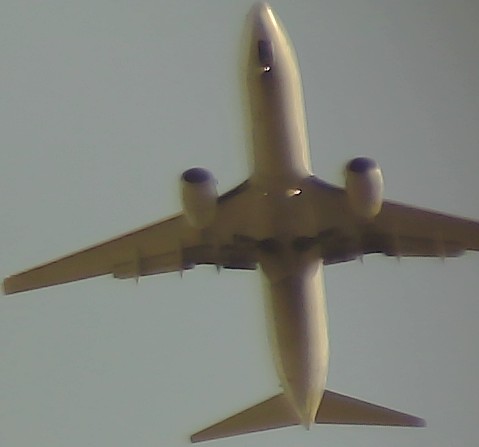Airplane Picture