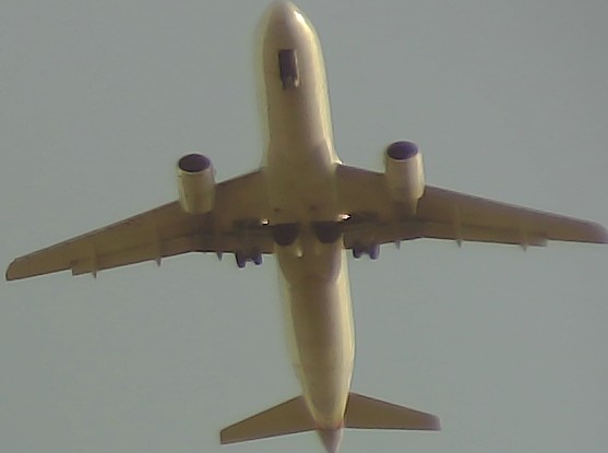 Airplane Picture