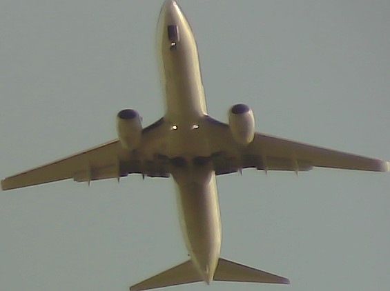 Airplane Picture
