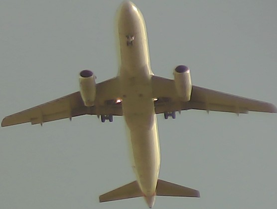Airplane Picture