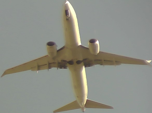 Airplane Picture