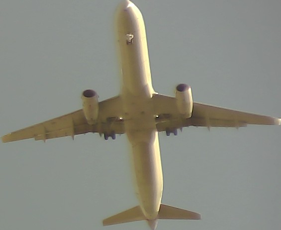 Airplane Picture