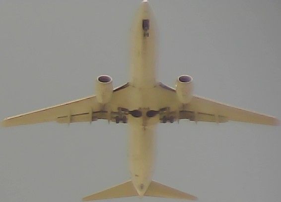 Airplane Picture