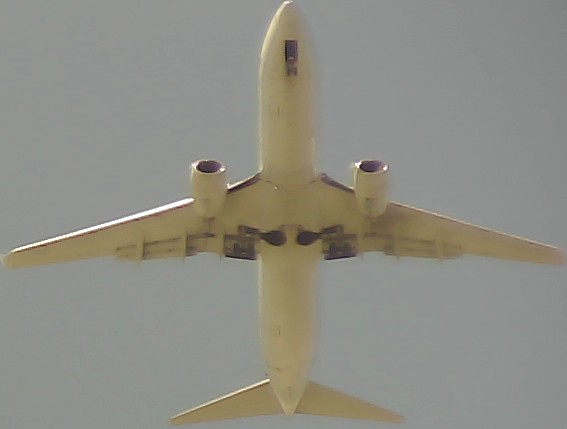 Airplane Picture