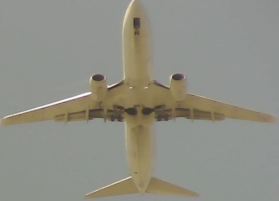 Airplane Picture