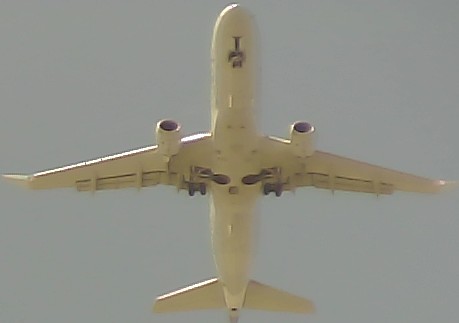 Airplane Picture