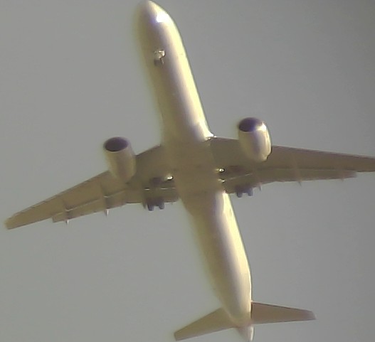 Airplane Picture
