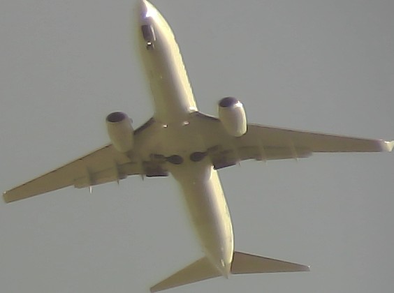 Airplane Picture