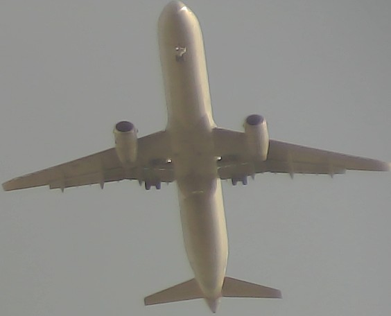 Airplane Picture
