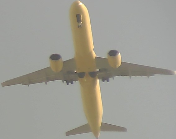 Airplane Picture