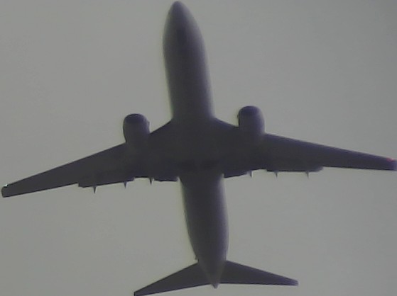 Airplane Picture
