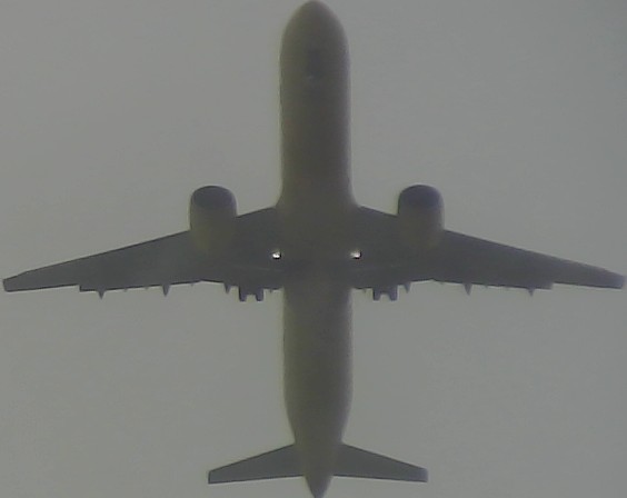 Airplane Picture