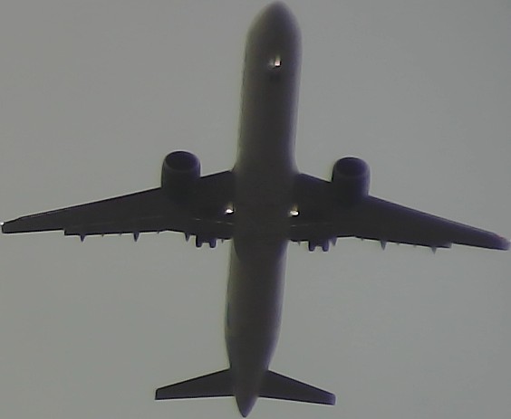 Airplane Picture