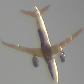 Airplane Picture