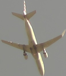 Airplane Picture