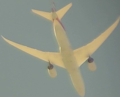 Airplane Picture