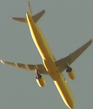 Airplane Picture