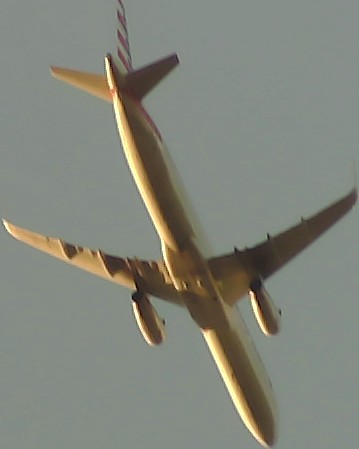 Airplane Picture