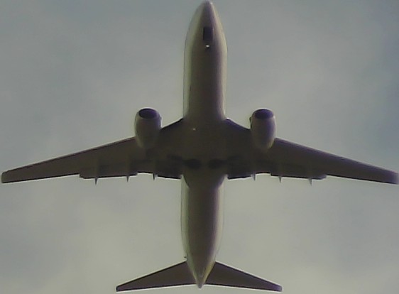 Airplane Picture