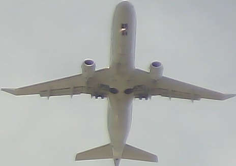 Airplane Picture