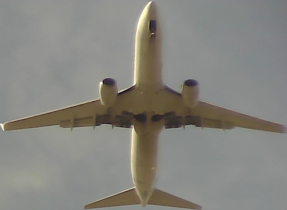 Airplane Picture