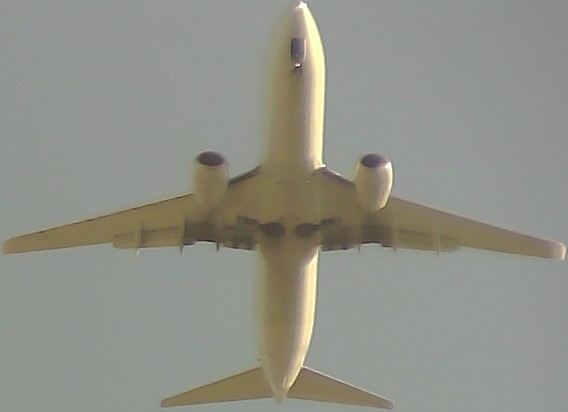 Airplane Picture