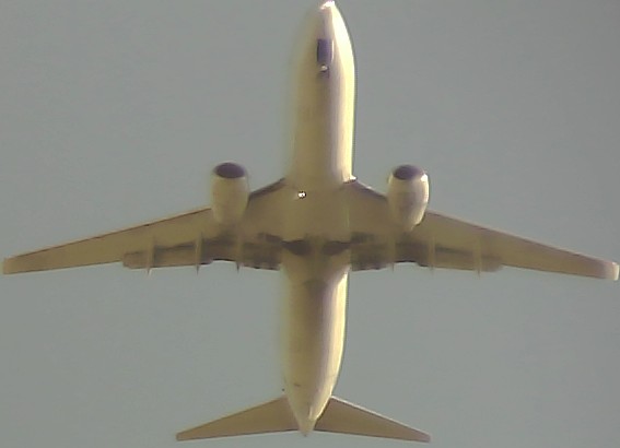 Airplane Picture