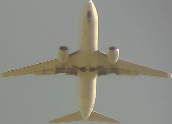 Airplane Picture