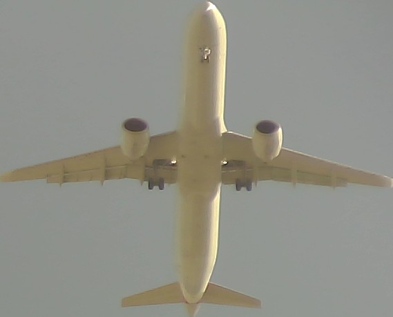 Airplane Picture
