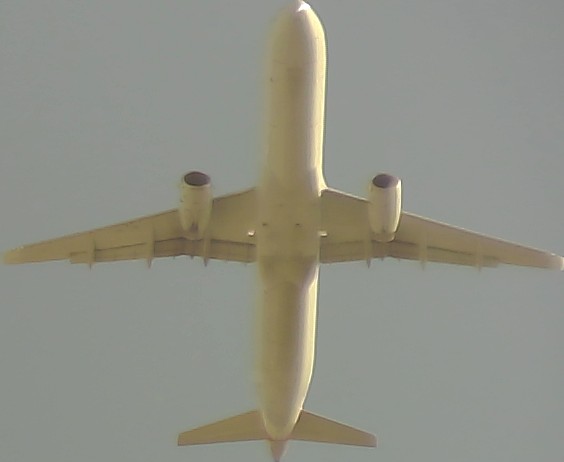 Airplane Picture