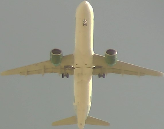 Airplane Picture