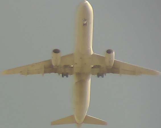 Airplane Picture