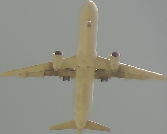 Airplane Picture