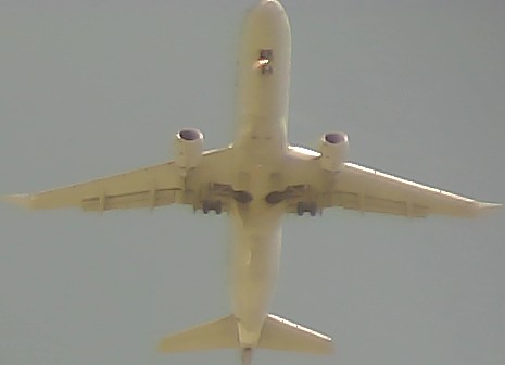 Airplane Picture
