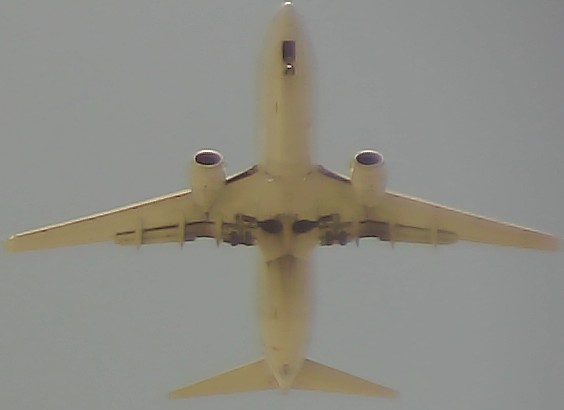 Airplane Picture