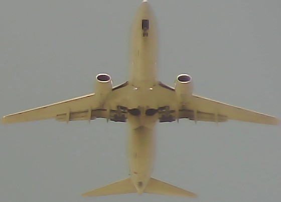 Airplane Picture