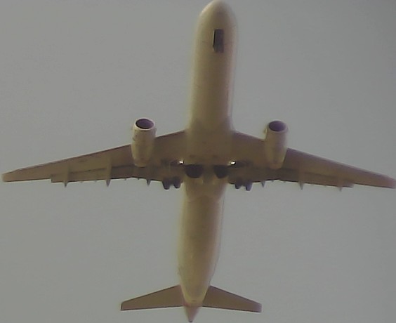 Airplane Picture
