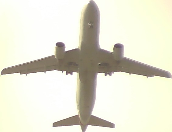 Airplane Picture