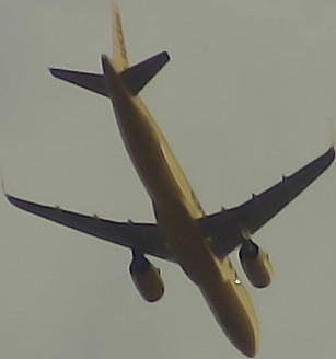 Airplane Picture