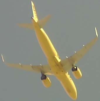 Airplane Picture