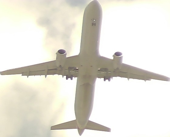 Airplane Picture