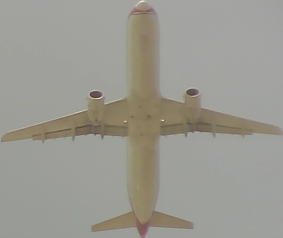 Airplane Picture
