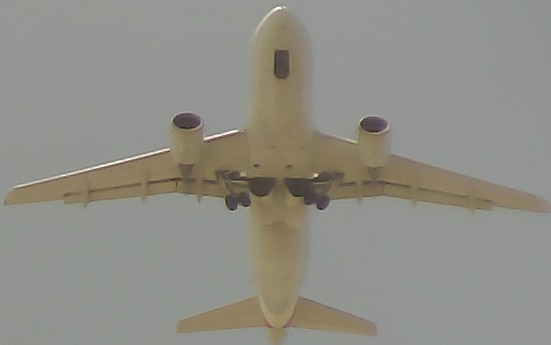 Airplane Picture
