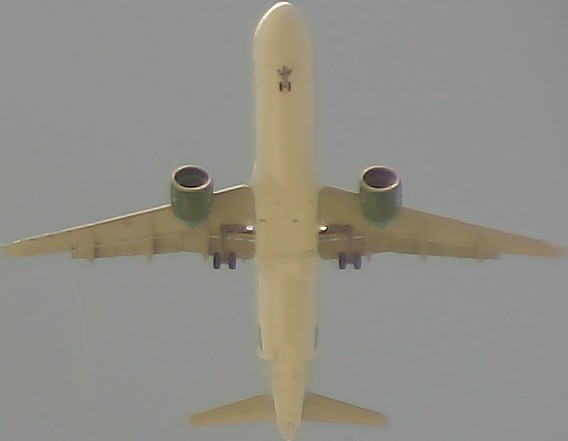 Airplane Picture