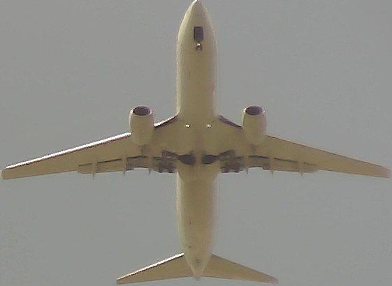 Airplane Picture