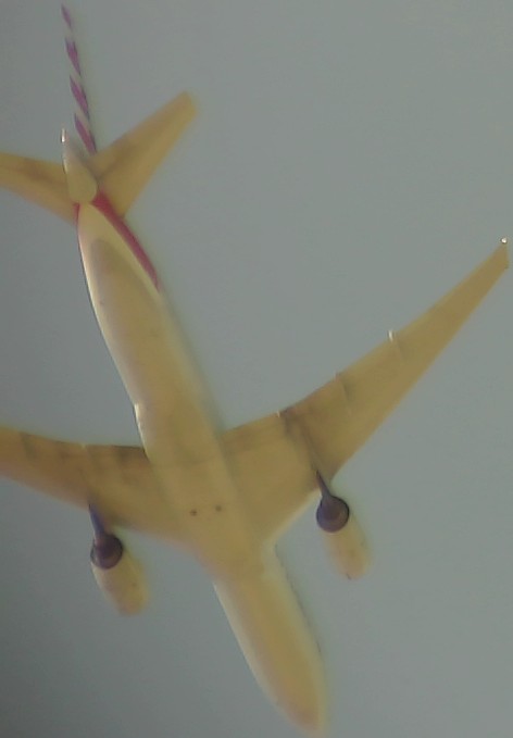 Airplane Picture
